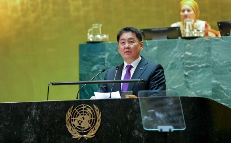  UN General Assembly Adopts Draft Resolution on “World Horse Day”