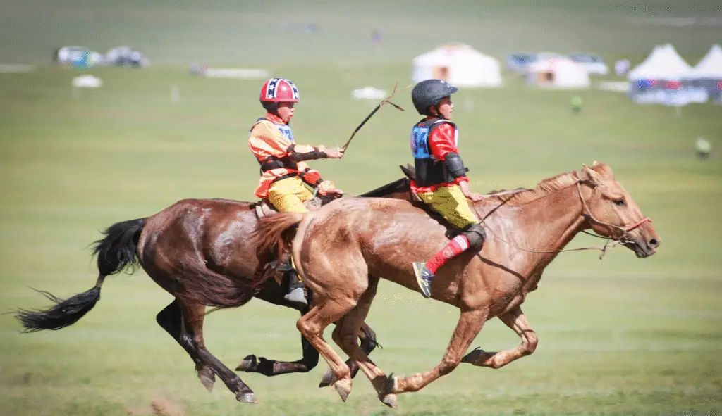 home - World Horse Day Festival