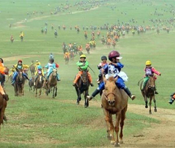 336i1u2vn0khof50k6cvds4iu2