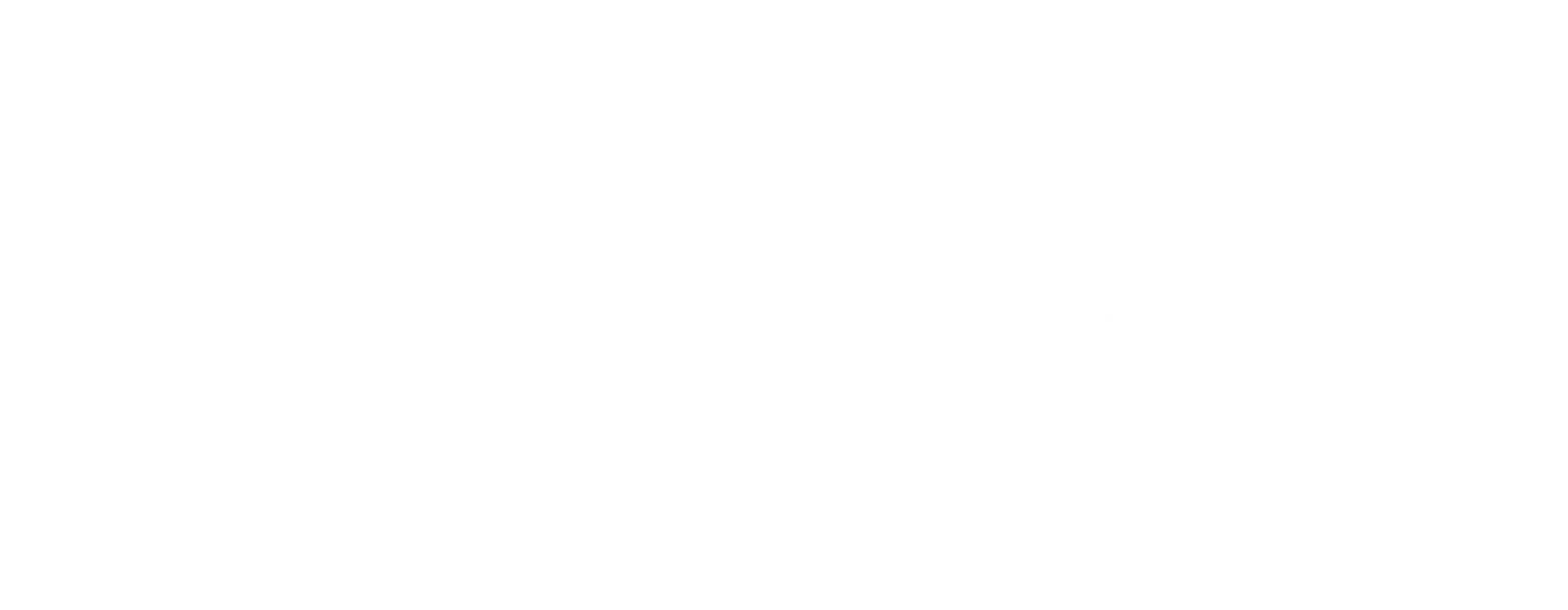 World Horse Day Festival 