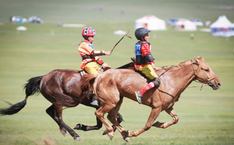  Mongolian Horse Culture & Horsemanship